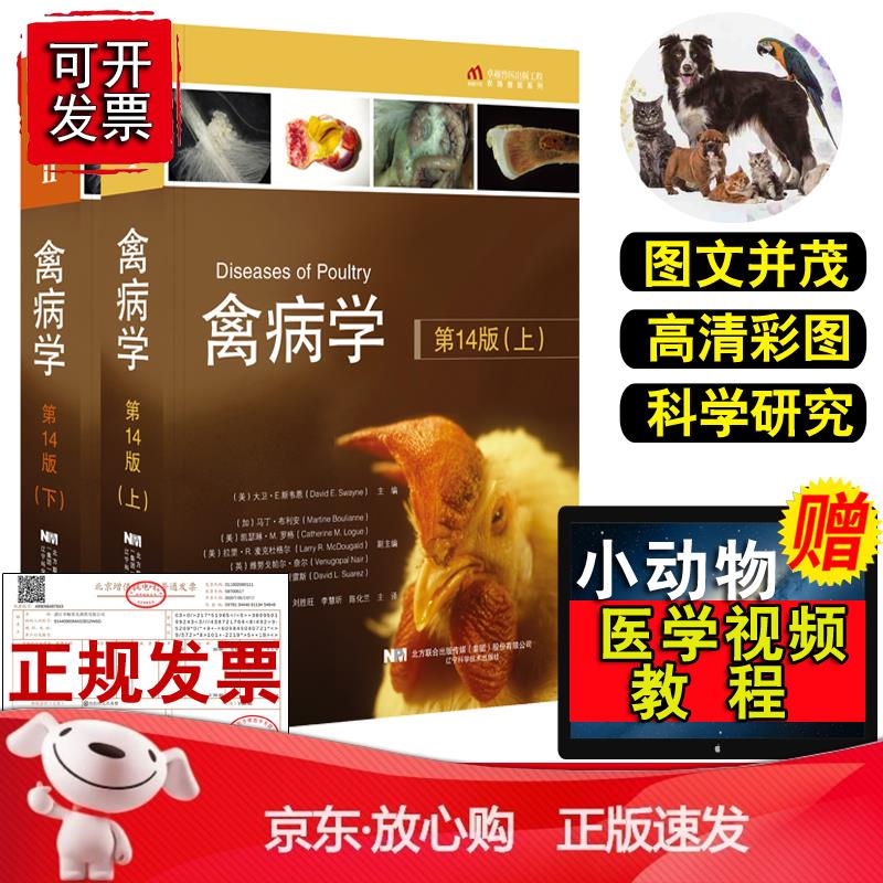 2022新书 禽病学 第14版第十四版大