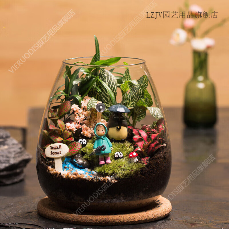 微景观苔藓微景观 生态瓶龙猫玻璃花房创意迷你植物礼物成品桌面绿植 栽种好成品礼盒装