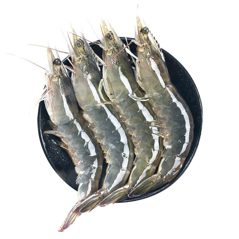 ���ڲ��������μ��ൺ��Ϻ����Ϻ��ΧϺ��Ϻ��Ϻ����3�ﺣϺ��Ϻ 82.9Ԫ