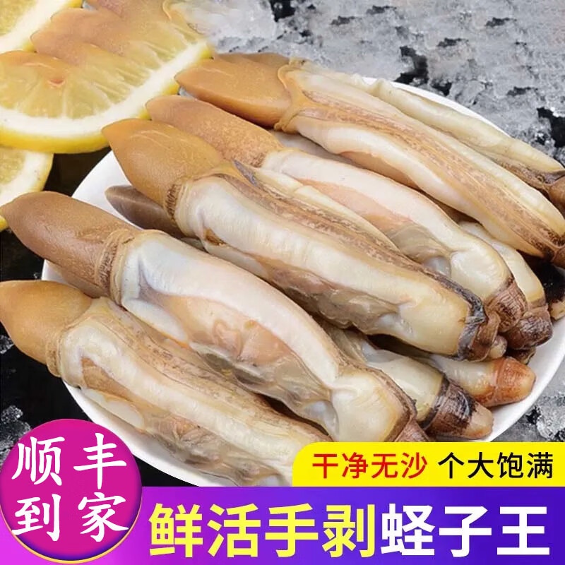 新鲜蛏子肉 冷冻蛏王肉 鲜活去壳竹节蛏 熟冻海圣子肉 海鲜水产 2盒 500g(净重)  蛏子肉250g/盒