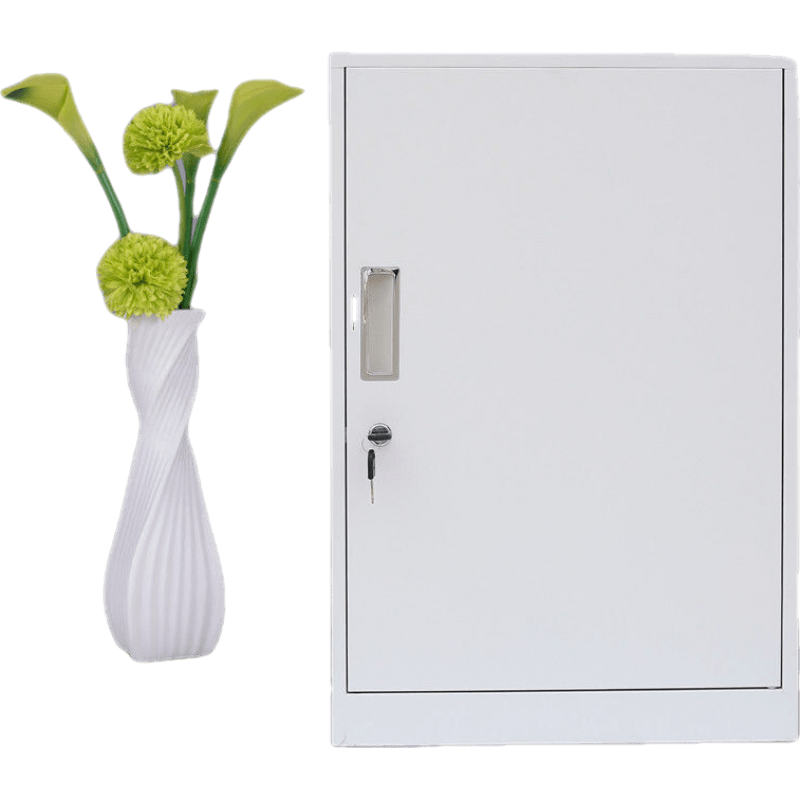 钢制矮柜办公室带抽屉储物柜桌下小柜子多功能柜带锁文件柜铁皮柜诺森博兰 白色单门柜 1.1