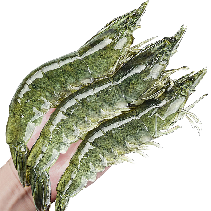 ���ڲ��������Ǵ�Ϻ�ʻ��ൺϺ��ΧϺ�ش��䶳�������ζ��ٶ���ϺϺ�� 20-30�ش�Ϻ�� 3��(����)