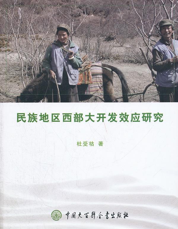 民族地区西部大开发效应研究【正版】