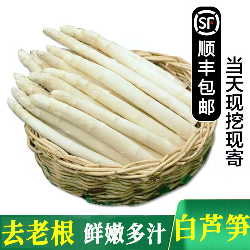 沃鲜谷【顺丰】山东曹县白芦笋 新鲜白笋 健康轻食 新鲜时令蔬菜 b级