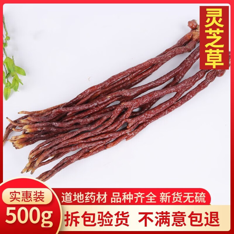 同仁堂 甄选灵芝草中药材佛手灵芝鹿角灵芝水灵芝草宜配孢子粉500克