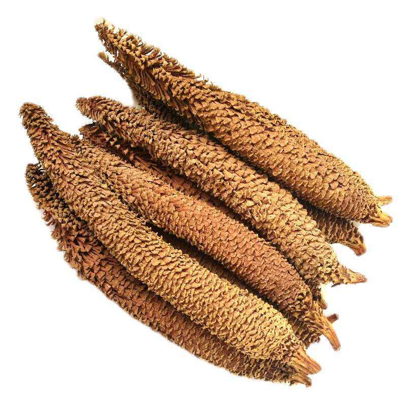 中药铁树花伟博铁树花中药材 500克包干花 铁树雄花 凤尾蕉 另有雌花