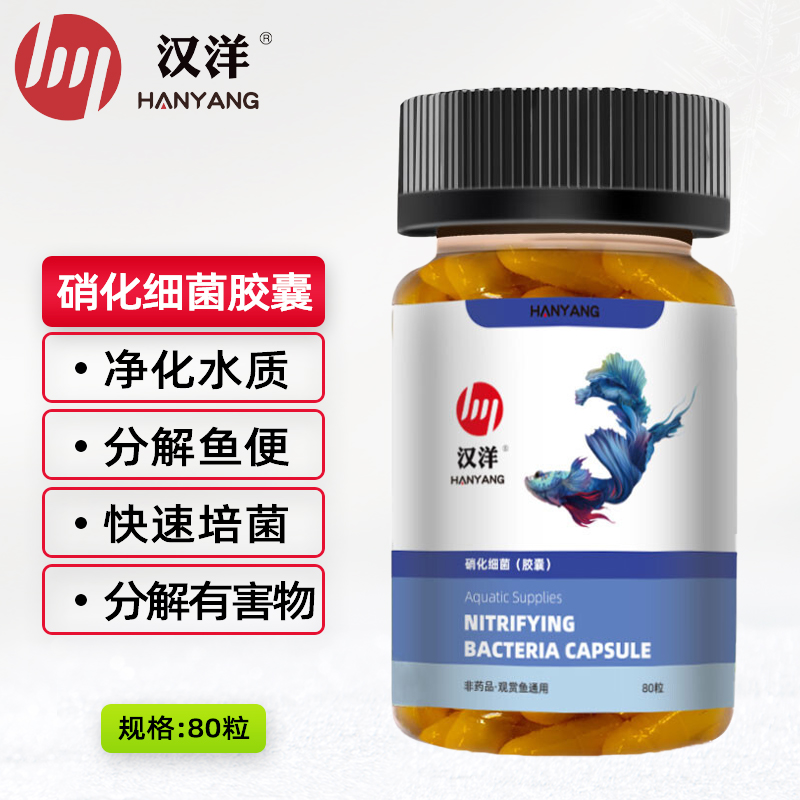 内幕剖析比较汉洋硝化细菌鱼缸硝化细菌怎么样？说说二个月感受分享