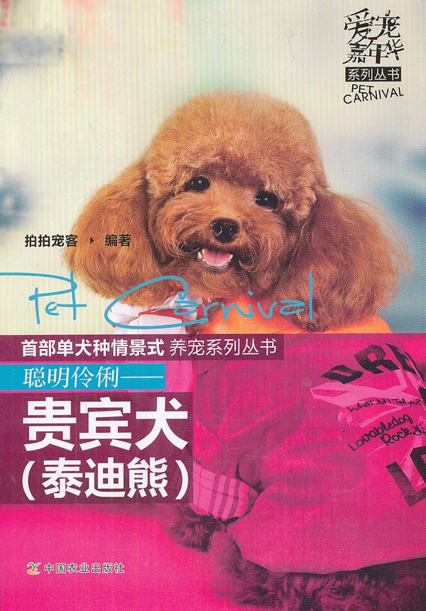聪明伶俐 贵宾犬 泰迪熊