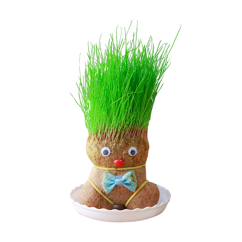 ��������������2��ֲ������ˮ��С������ֲ��ͷ���޴���������ֲͷ���� 12.9Ԫ