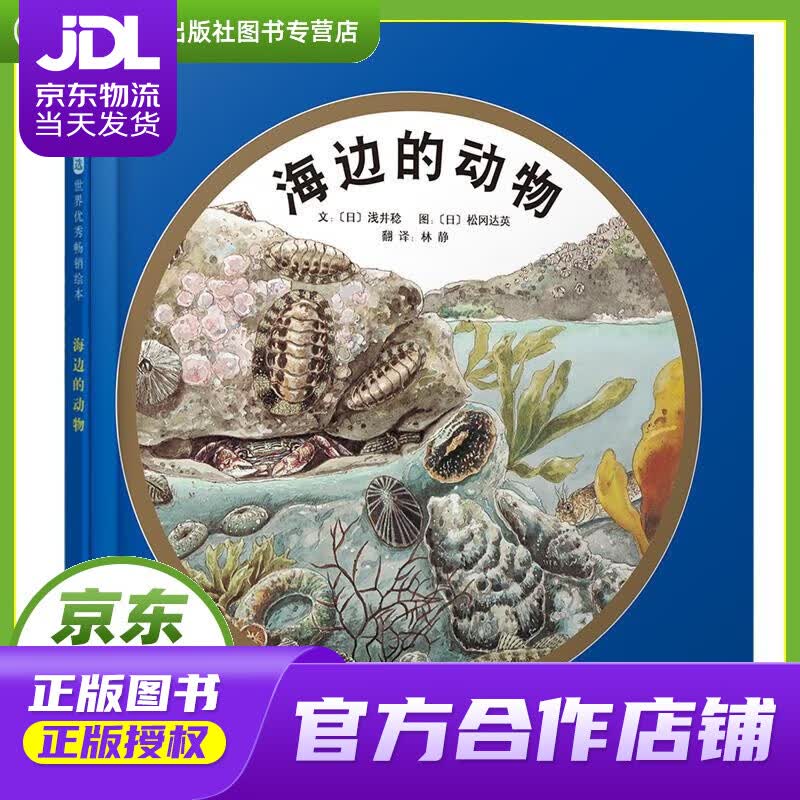【正版图书 京东配送】启发精选世界优秀绘本:海边的动物 浅井稔, 松冈达英, 林静 河北教育出版社