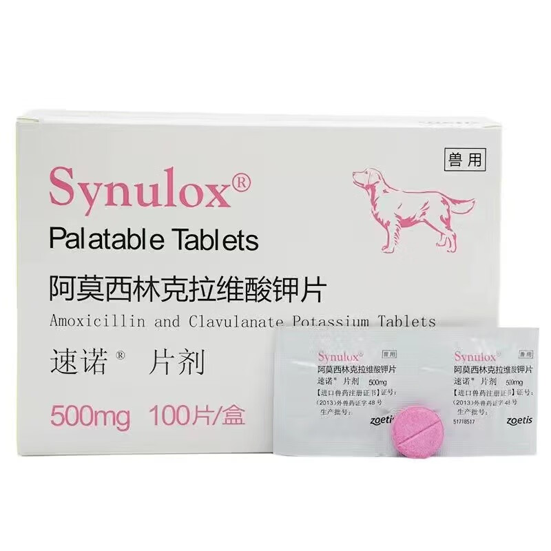速诺片猫鼻支阿莫西林克拉维酸钾片猫咪感冒打喷嚏流鼻涕药宠物狗狗