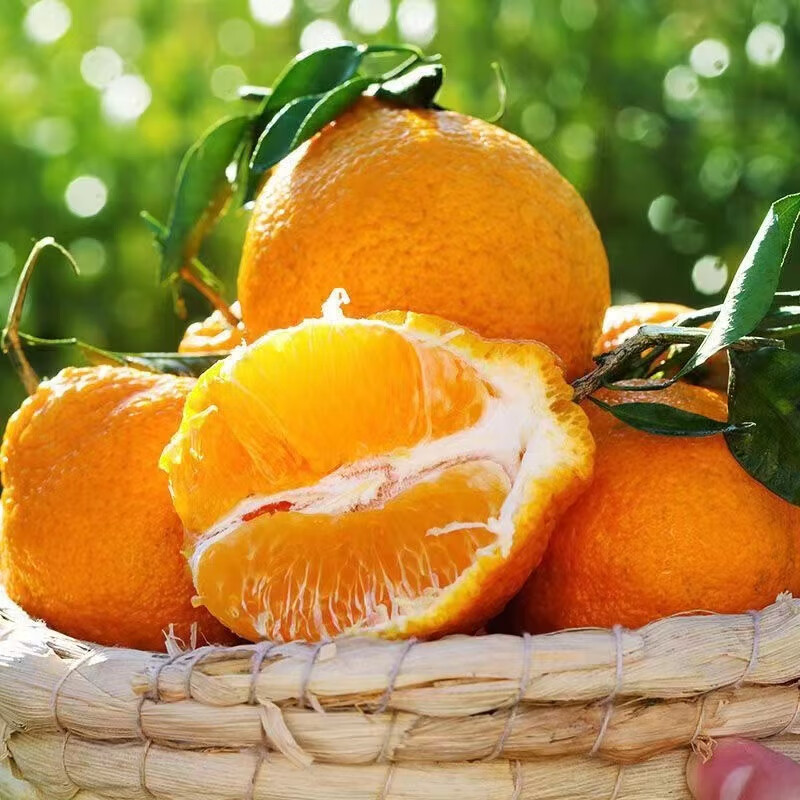 果迎鲜丑橘 新鲜水果 湖北丑橘 净果4.5斤 柑橘 桔子生鲜酸甜 70-80mm