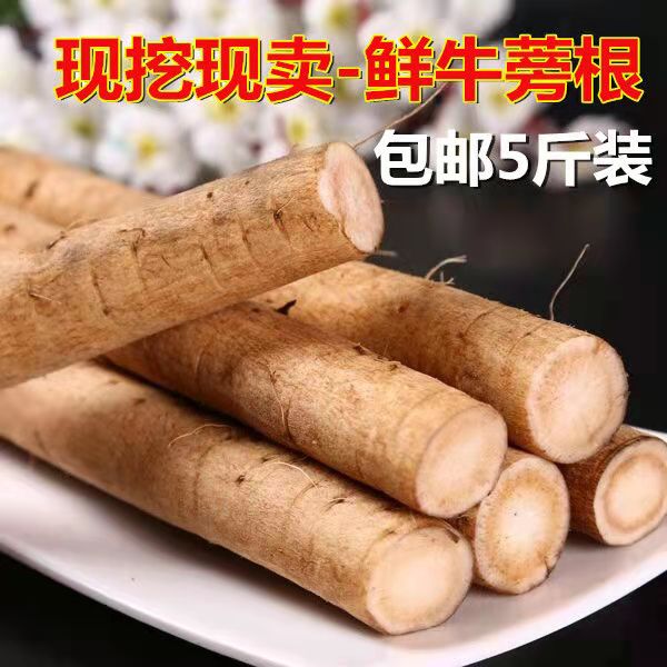 新货鲜牛蒡新鲜农家黄金牛蒡鲜牛膀根大粗营养菜 5斤装 一份