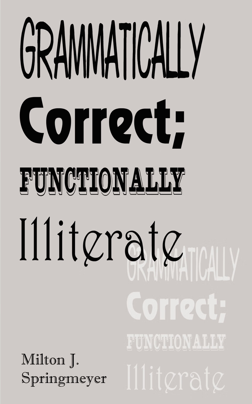 【预售 按需印刷】grammatically correct; functionally illiterate