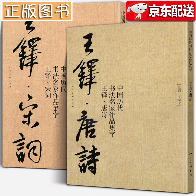 【大尺寸2册】王铎集字唐诗+宋词 中国历代书法名家作品集字行书诗卷临摹教程楷行草毛笔书法作品字帖临摹