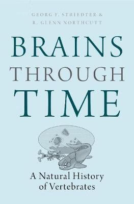 【现货】Brains Through Time