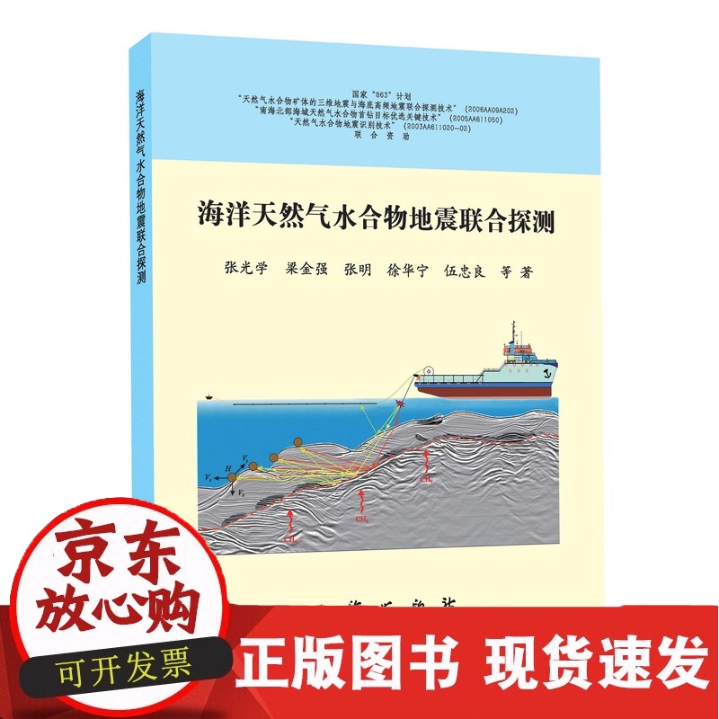 C【】海洋天然气水合物地震联合探测 9787116091207正版 91207
