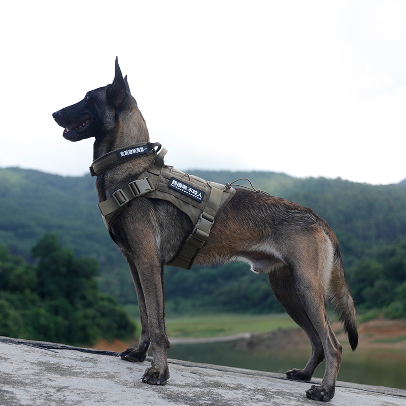 出众者狗绳牵引绳大型犬胸背带防爆冲狗背带牵狗绳德牧金毛马犬宠物