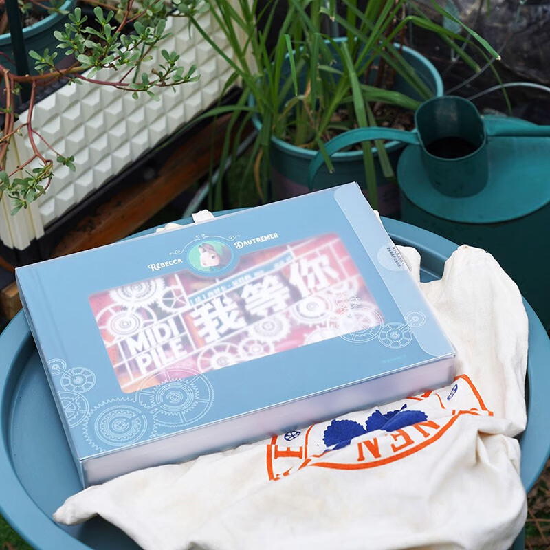 【赠PVC包装盒】现货 我等你 立体纸雕绘本 生日情人节礼物书 绘本天后海贝卡 经典文学暖心童话节日礼品 后浪正版 我等你