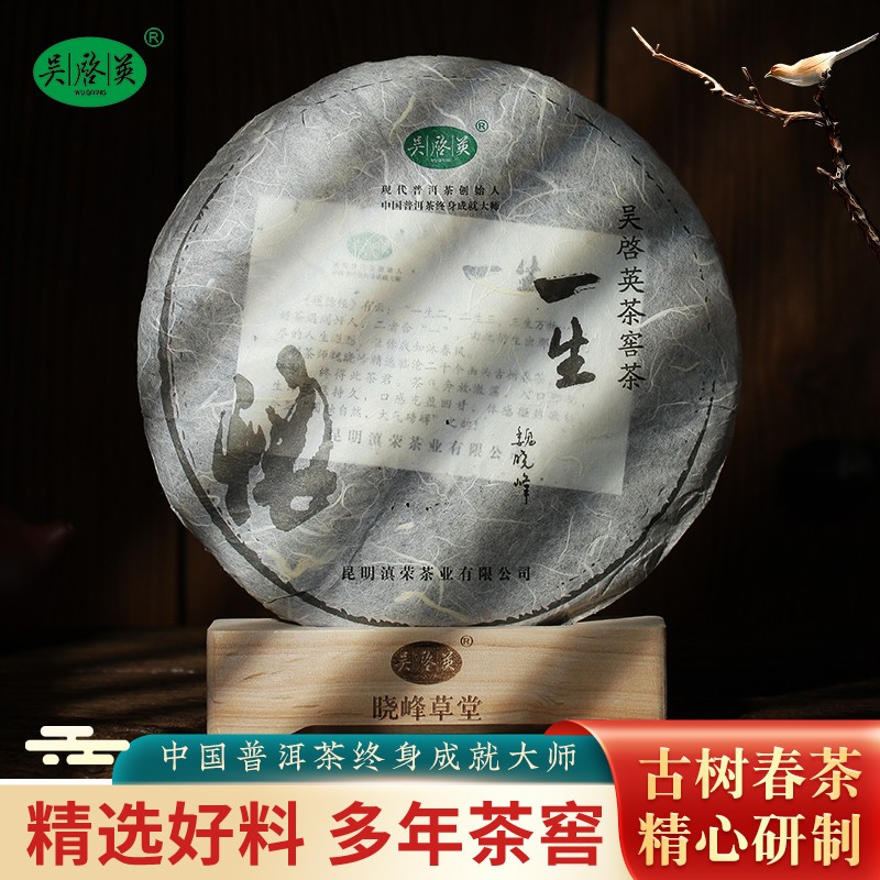 吴启英(wuqiying) 一生普洱生茶饼云南古树茶春茶叶老生茶高端普洱