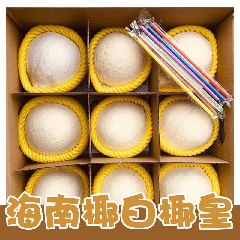 沣御园海南牛奶椰白椰皇 嫩椰去皮椰青单果400-700g海南椰子热带水果