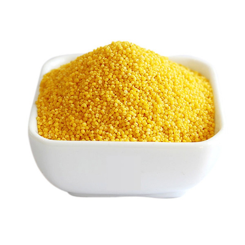 jussmini黄小米新米小黄米香糯粘稠陕北高家杂粮小米粥粥米2500g