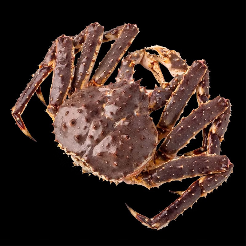 帝王蟹海鲜鲜活冻大10斤进口高端顺丰空运长脚蟹皇帝蟹帝皇蟹 8.5-9【活冻品质 新鲜足称】