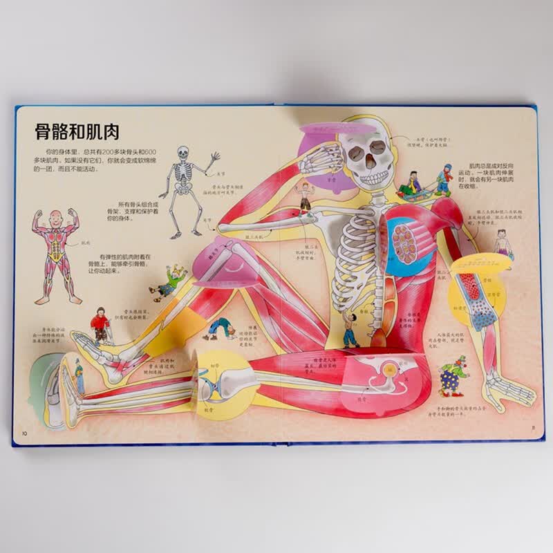 尤斯伯恩看里面 揭秘身体（新版）详情图