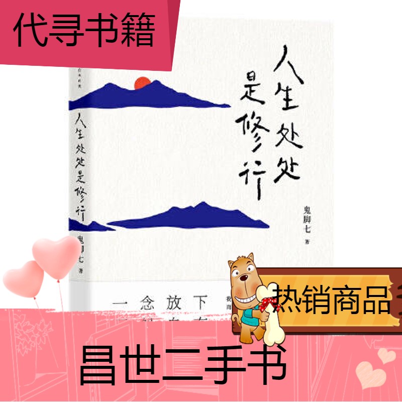 【二手9成新】人生处处是修行 鬼脚七 从阿里高管到托钵行走再到山间