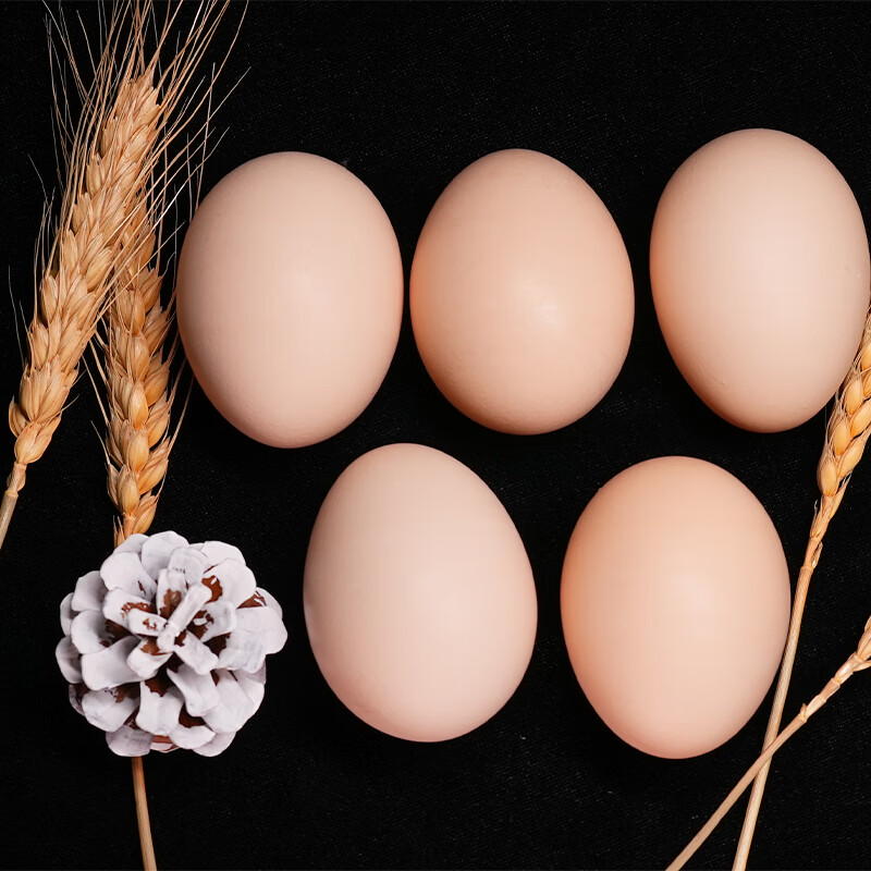 看蛋类历史价格|蛋类价格走势