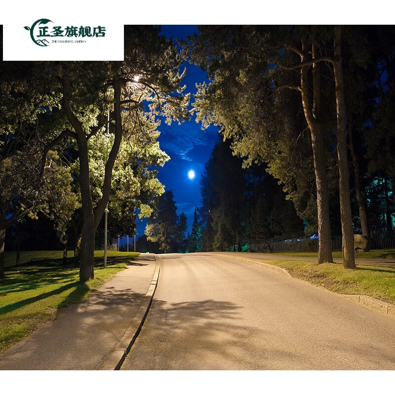 布3d立体高清主播间室外夜间风景路灯秋天黄叶网红直播 和图片一样的