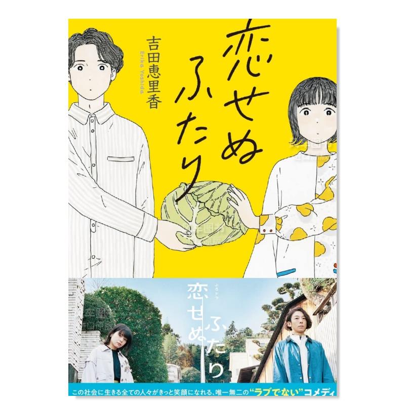 两个不相爱的人 恋せぬふたり日文原版图书书籍文学