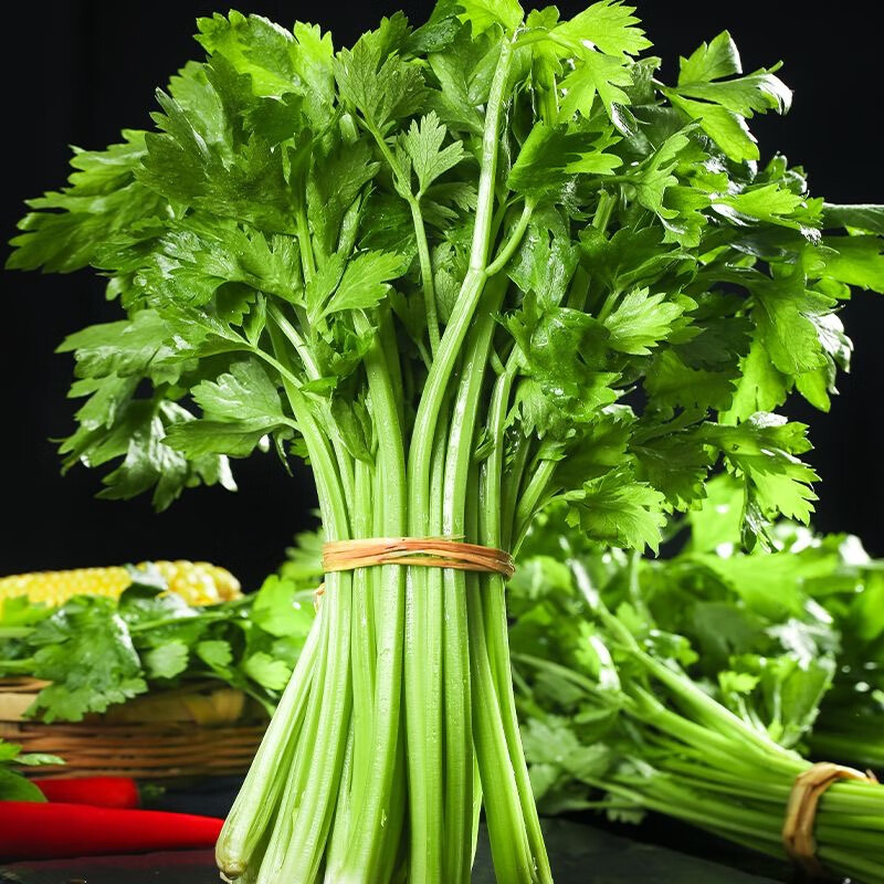 特派员深化田间地头辅导芹菜安全科学用药