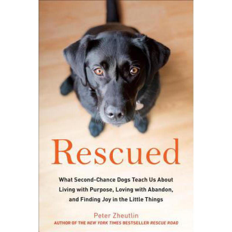 预订 rescued: what second-chance dogs teach us ab. 英文原版