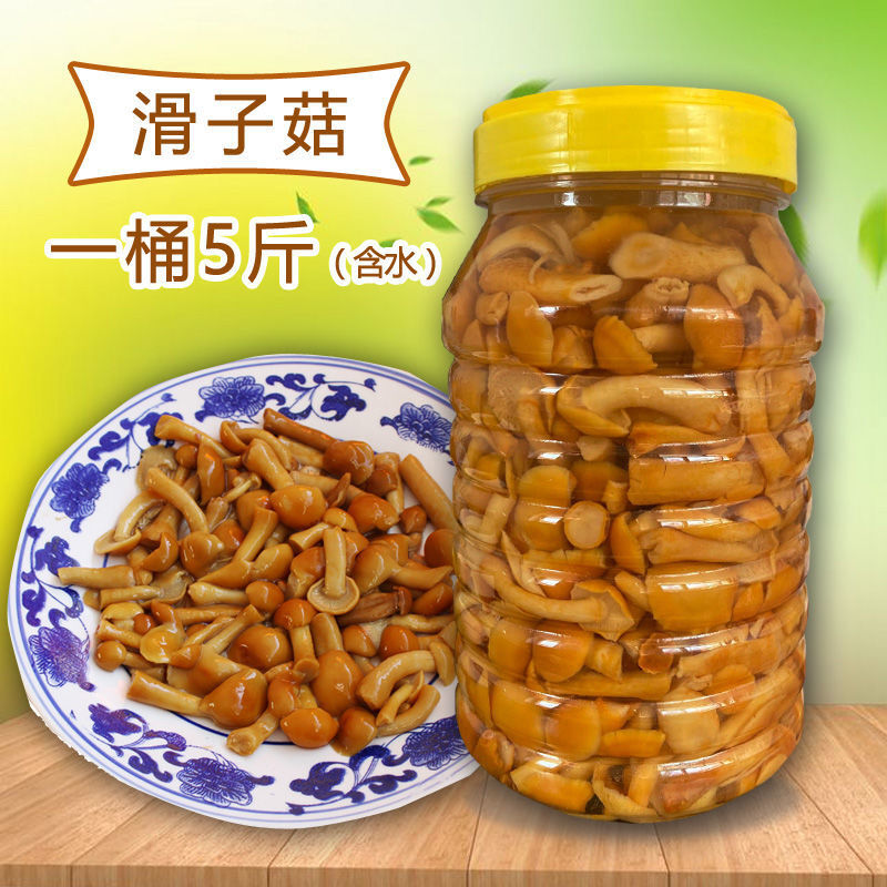 虎钢馋5斤桶装 滑菇含水新鲜滑子菇滑子蘑可炒涮汤 承德东北特