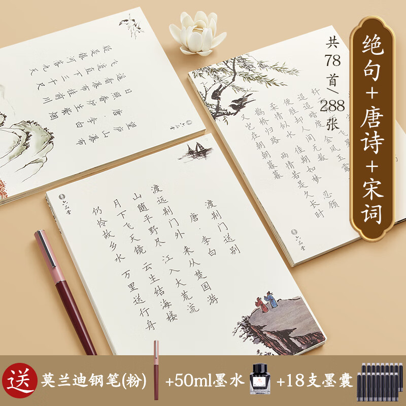 专用每日一练练字男生硬笔书法练字本 诗词组合288张【送钢笔粉 墨水