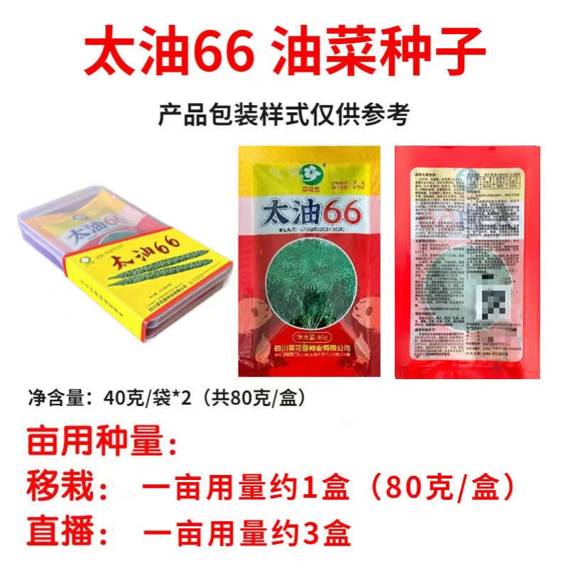 太油66杂交油菜籽种籽黑油菜籽矮杆抗倒伏耐寒油菜籽四川油菜种子 太