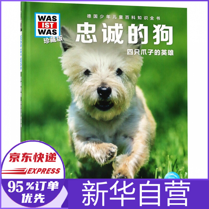 壁纸 动物 狗 狗狗 800_800