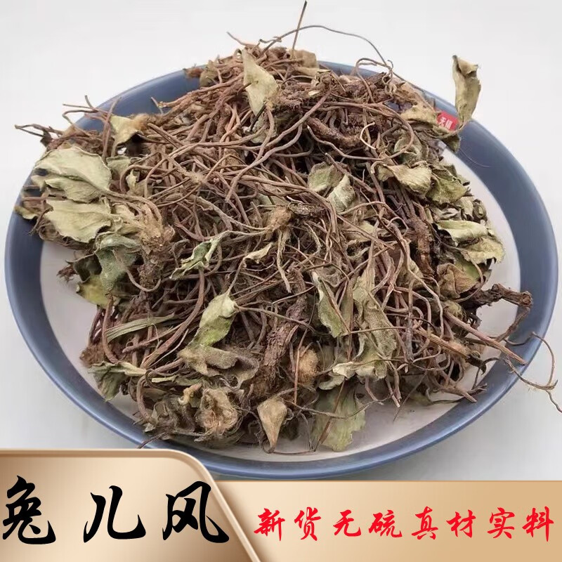 北京同仁堂 中药材兔儿风草 杏香兔儿风 金边兔耳风草 一柱香马蹄草