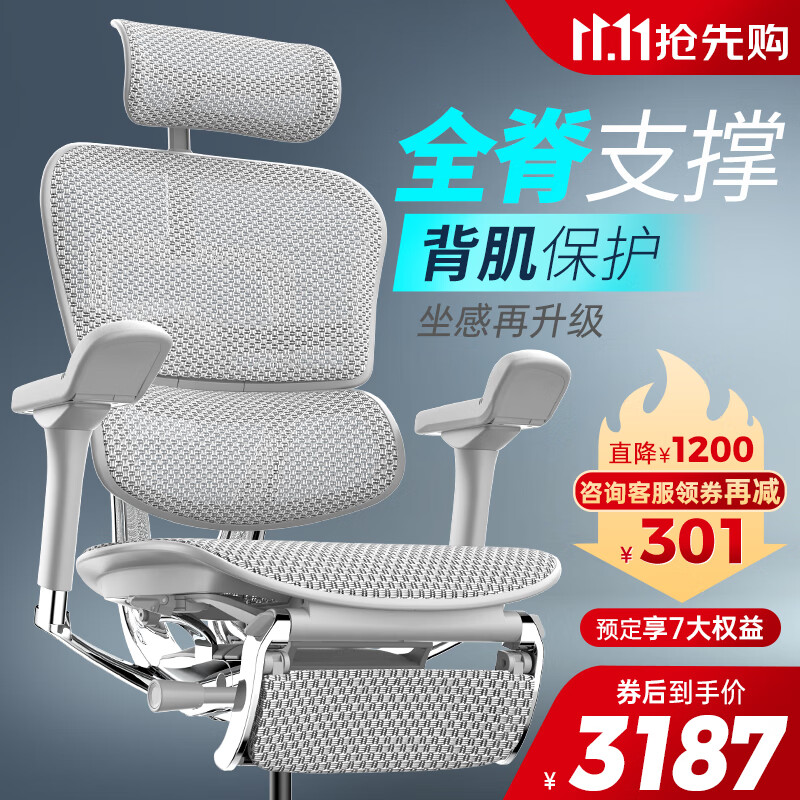 保友办公家具（Ergonor） 金豪e 2代高端人体工学椅 电脑椅子 办公椅家用电竞椅老板椅座椅 银白(Q4.0)美国网+躺舒宝 精英版使用感如何?