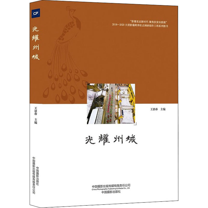 光耀州城 王景春 编 书籍