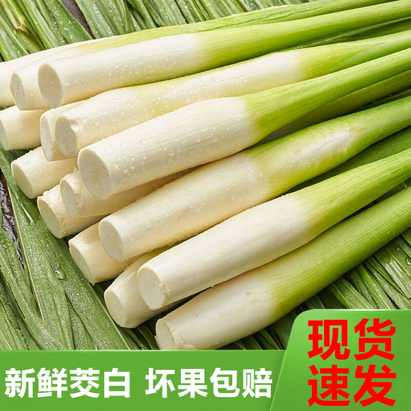 茭白新鲜蔬菜 现摘云南高山农家时令冷水高笋孕妇茭瓜月子下奶菜 1500