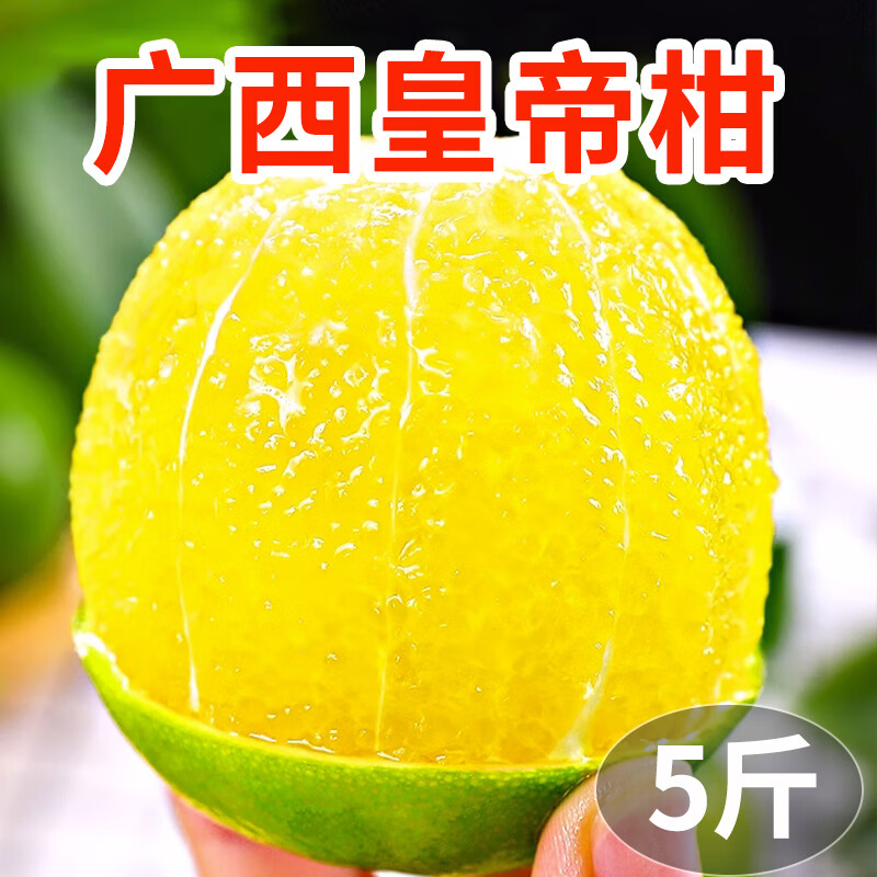 菲农广西皇帝柑5斤 果径60-65mm 新鲜水果蜜桔甜橘子贡柑砂糖桔子