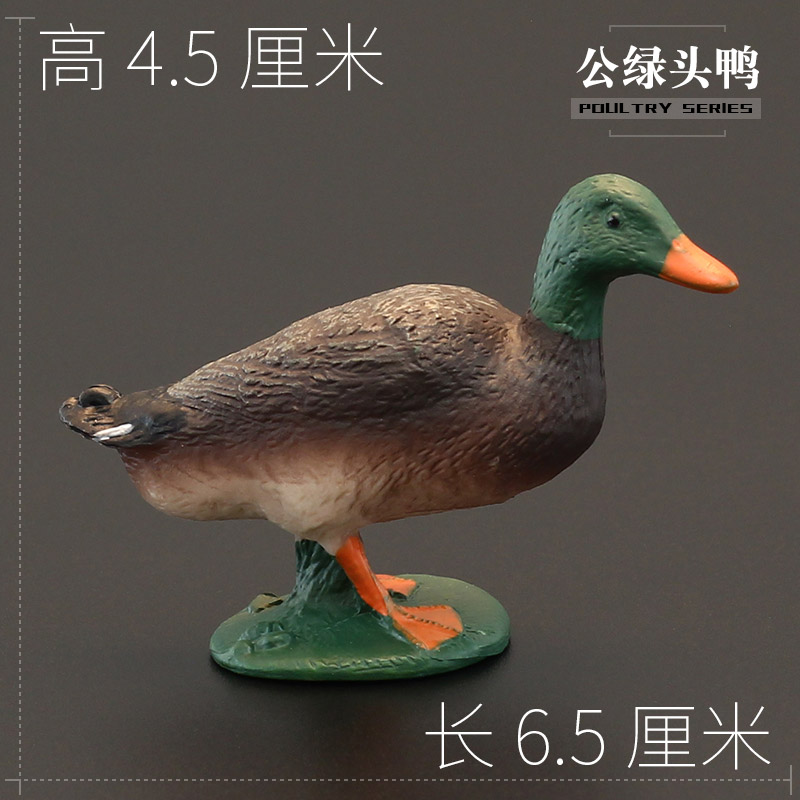 儿童仿真野生动物玩具 仿真动物模型 鸭子小黄鸭duck家鸭 礼品摆件