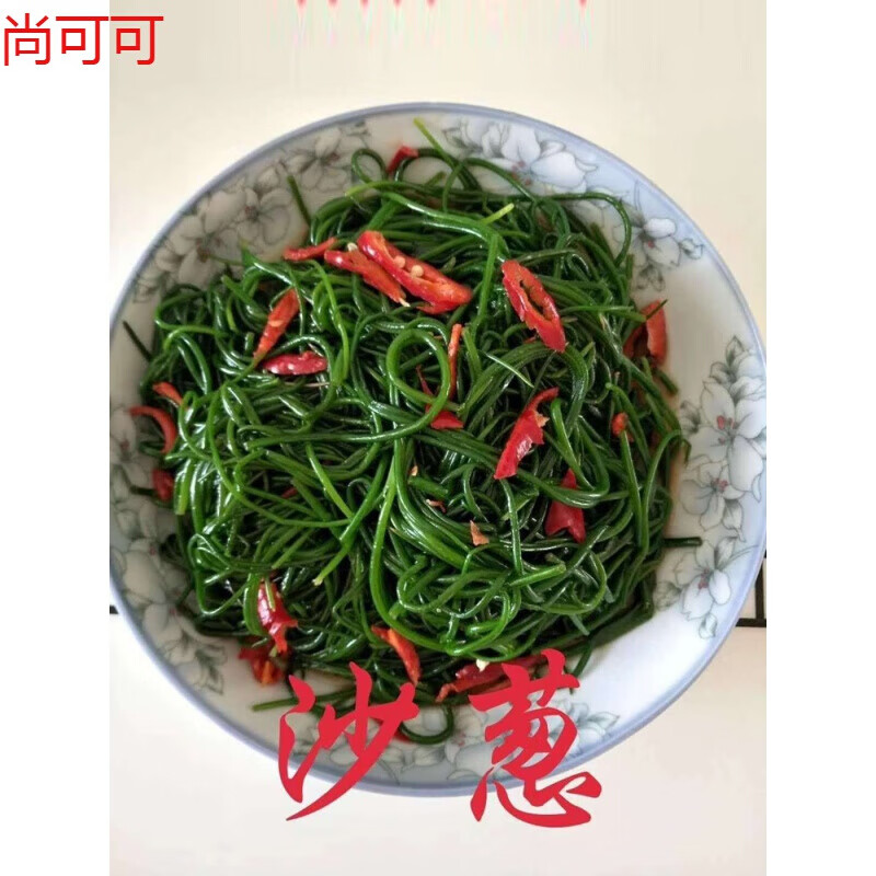 巢浩甘肃特产腌制沙葱下饭菜凉菜咸菜750克