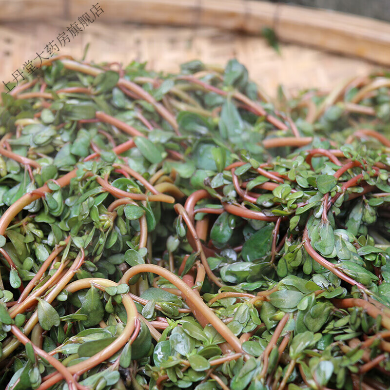 食用干马齿苋菜农家马齿苋干新鲜晒干马齿苋包子饺子馅 包子饺子馅