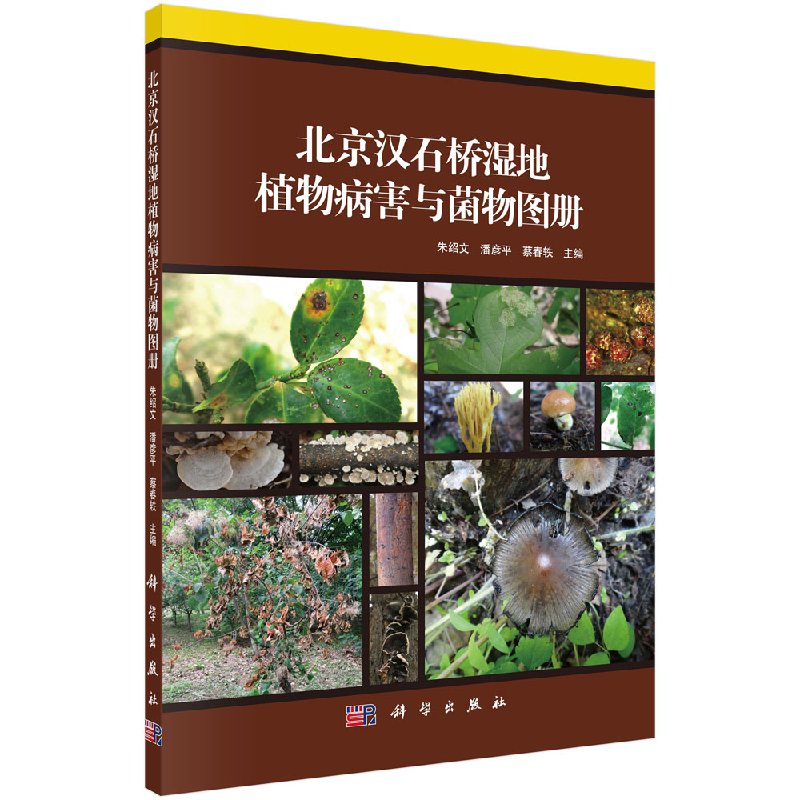 北京汉石桥湿地植物病害与菌物图册科学出版社