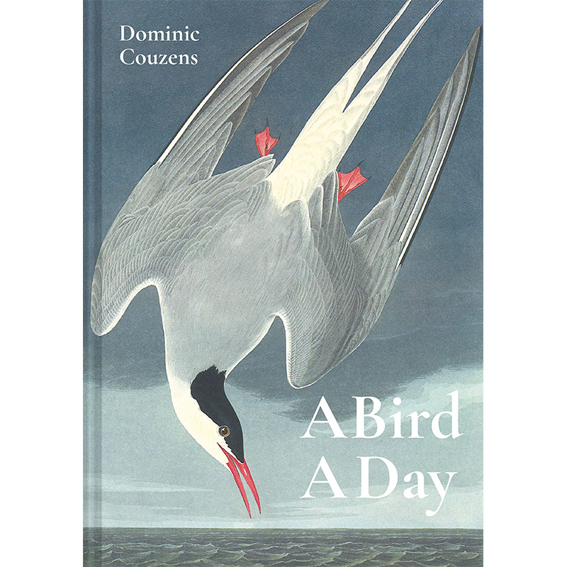 【预售】a bird a day 天鸟  英文原版图书籍进口正版dominic couzens