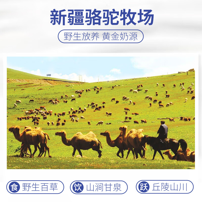 【复合营养粉】si-ki骆驼奶蛋白质粉添加骆驼奶大豆乳清双蛋白 驼奶蛋白质粉