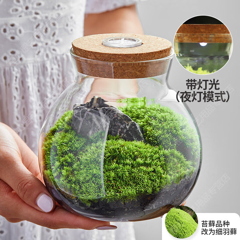 微景观生态瓶苔藓植物微景观生态瓶盆景室内桌面趣味微型景观创意绿植摆件 故乡的苍原高性价比高么？